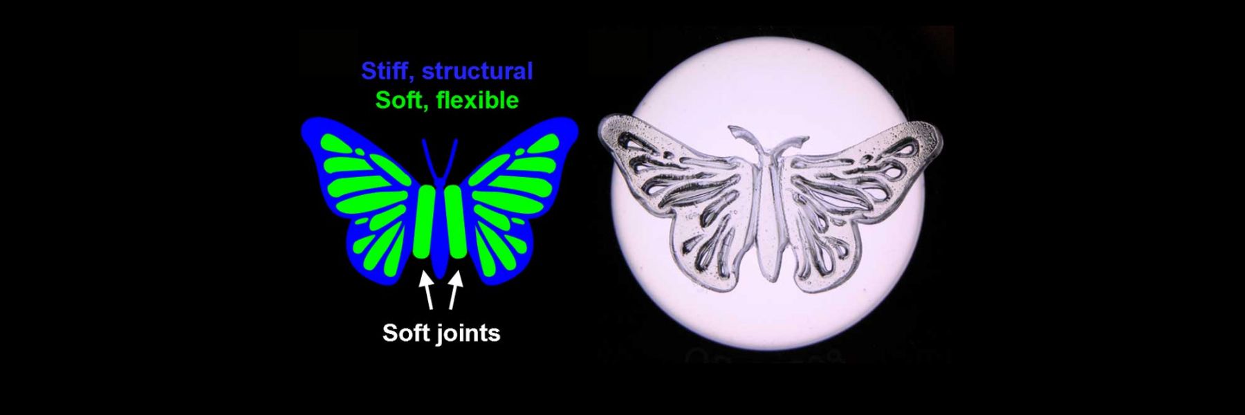 Photo of Printed Butterfly