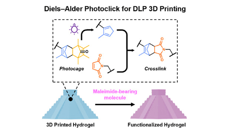 ToC of Radical-Free Digital Light Processing 3D Printing of Hydrogels Using a Photo-Caged Cyclopentadiene Diels–Alder Strategy