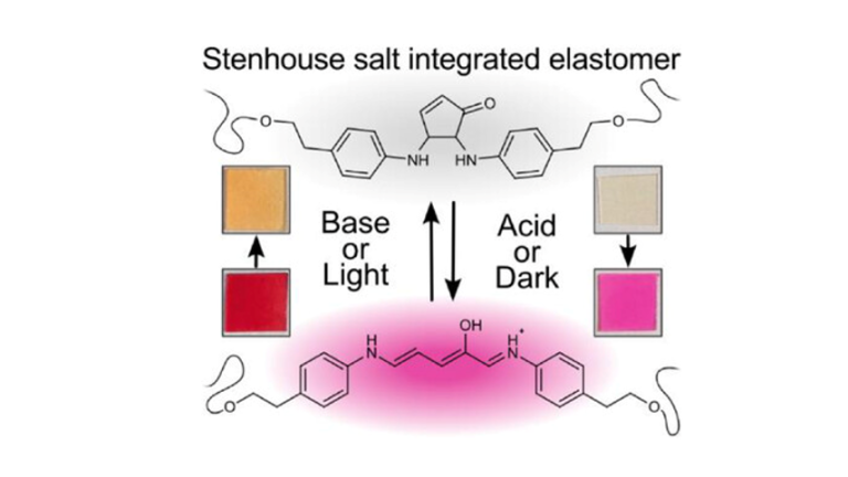 ToC of Pendent No More: Direct Backbone Integration of Stenhouse Salt Enables Multi-Responsive Commodity Polyurethanes