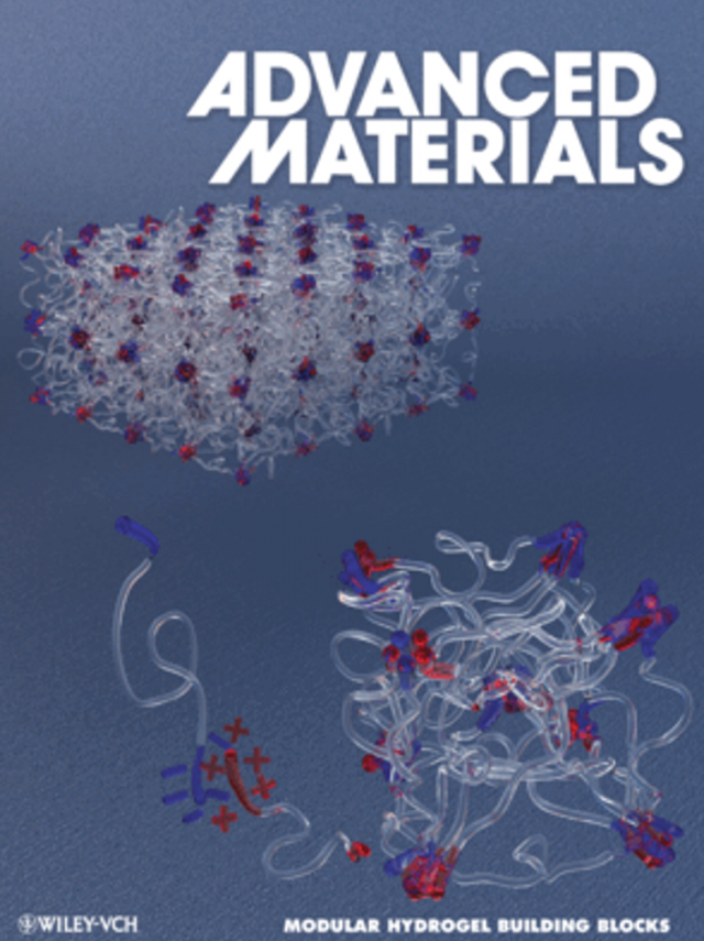 Cover of Adv Materials featuring Dynamic Hydrogel