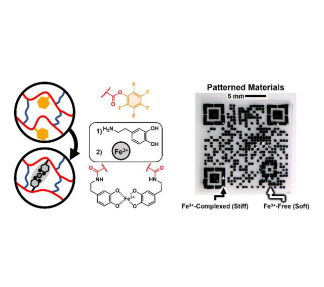 ToC of Modular Synthesis and Patterning of High-Stiffness Networks by Postpolymerization Functionalization with Iron–Catechol Complexes