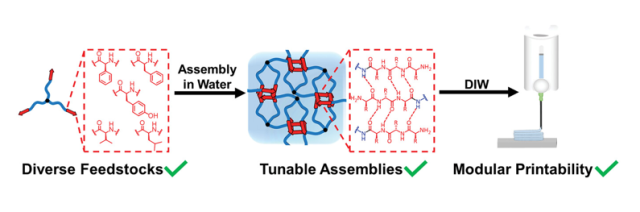 Fig. 1 of Tailoring Writability and Performance of Star Block Copolypeptides Hydrogels through Side-Chain Design