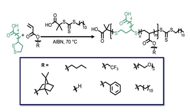 ToC of Controlled-Radical Polymerization of α-Lipoic Acid: A General Route to Degradable Vinyl Copolymers