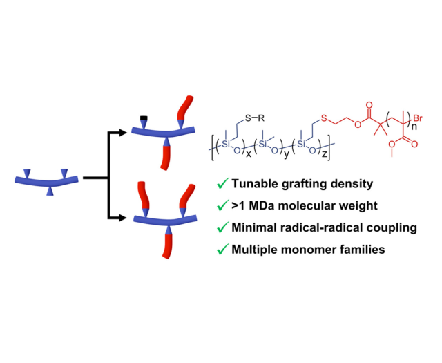 ToC of Versatile Synthesis of Siloxane-Based Graft Copolymers with Tunable Grafting Density