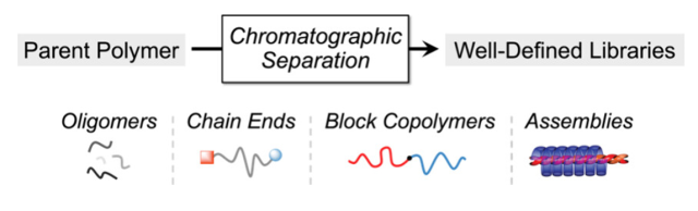 Chromatographic Separation: A Versatile Strategy to Prepare Discrete ...