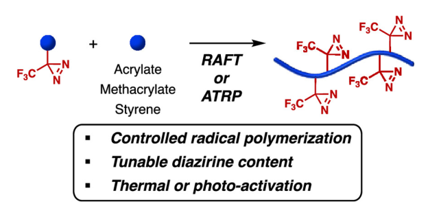 ToC of Synthesis and Reactivity of Diazirine-Containing Polymers via Controlled Radical Polymerization