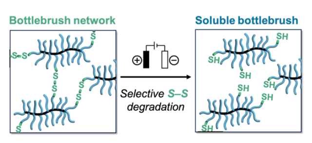 ToC of Selective electrochemical degradation of bottlebrush elastomers