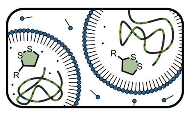ToC of Scalable Synthesis of Degradable Copolymers Containing α-Lipoic Acid via Miniemulsion Polymerization