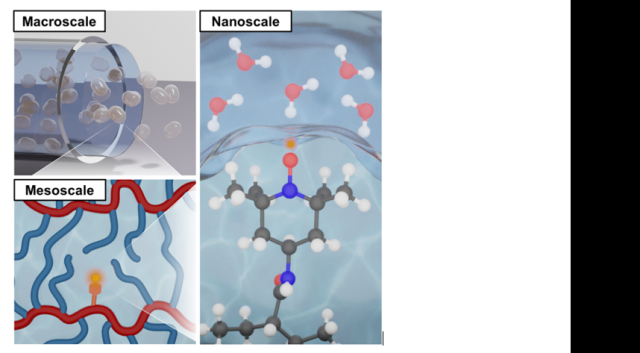ToC of Solution-Like Water Transport Across Molecular to Macroscopic Length Scales in Crosslinked Poly(Ethylene Glycol Diacrylate) Networks With Tailored Sidechains