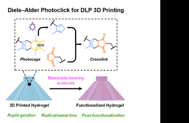 ToC of Radical-Free Digital Light Processing 3D Printing of Hydrogels Using a Photo-Caged Cyclopentadiene Diels–Alder Strategy
