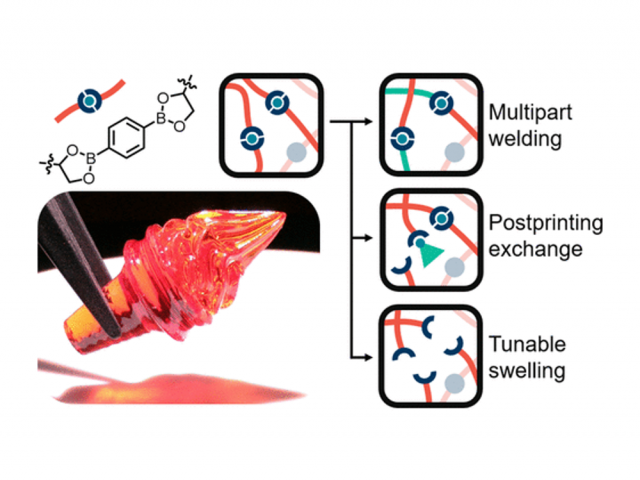 ToC from Chemical and Mechanical Tunability of 3D-Printed Dynamic Covalent Networks Based on Boronate Esters